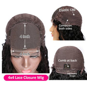 Curly Hair 4x4 HD Transparent Lace Closure Wigs 100% Virgin Human Hair
