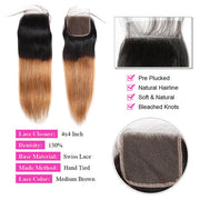 T1B/30 Ombre Brown Color Brazilian Straight Hair 3 Bundles With 4x4 Lace Closure Human Hair Extensions